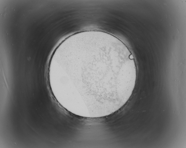 X0000103971008200810311521