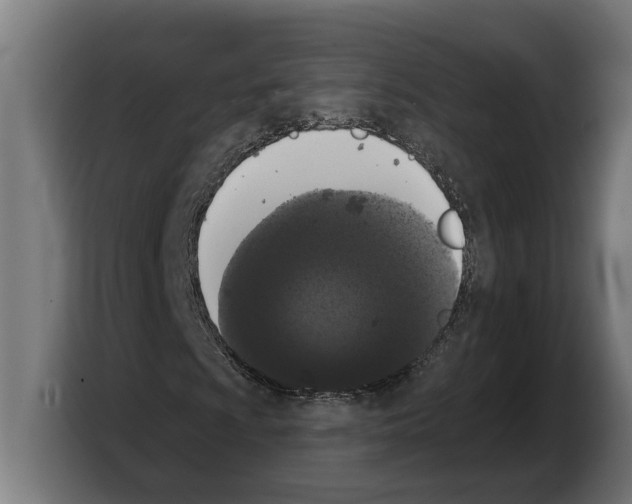 X0000103971009200810311520