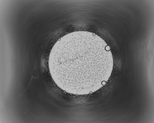 X0000103971010200810311520
