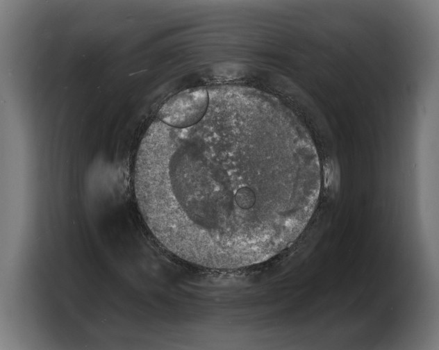 X0000103971011200810311520