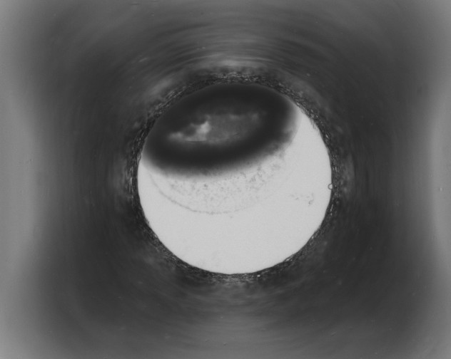 X0000103971013200810311520