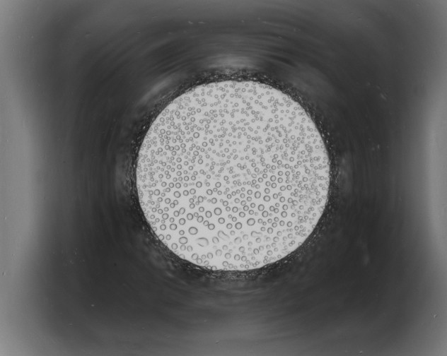 X0000103971014200810311520
