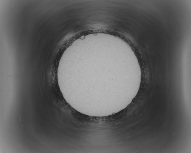 X0000103971016200810311520