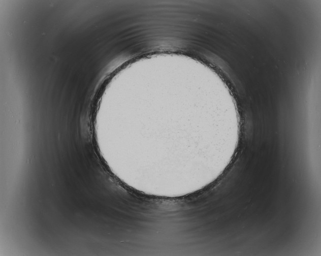 X0000103971018200810311520