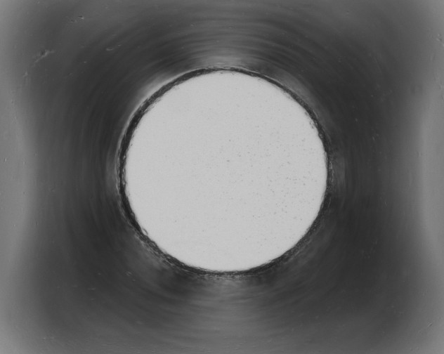 X0000103971020200810311520