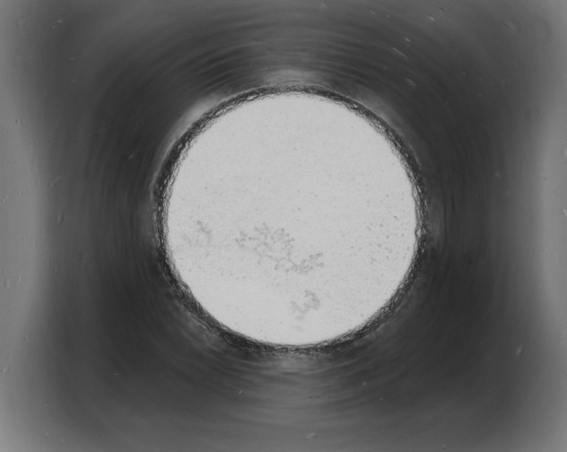 X0000103971022200810311520