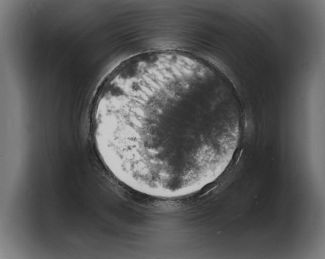 X0000103971023200810311520