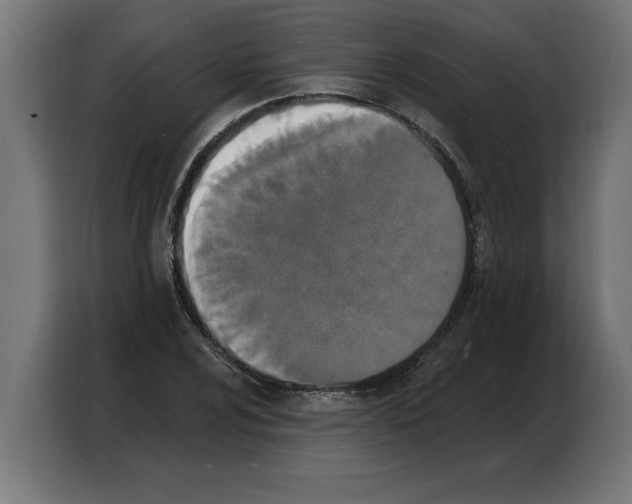 X0000103971024200810311520