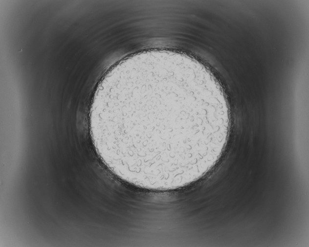 X0000103971025200810311520
