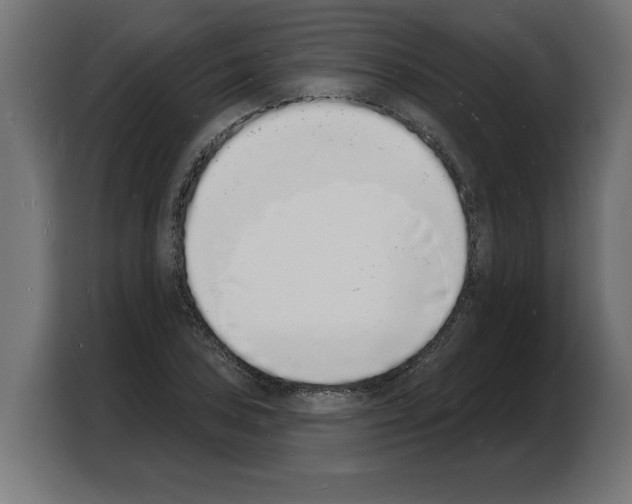 X0000103971027200810311520
