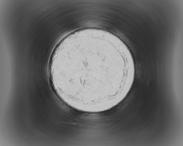 X0000103971028200810311520