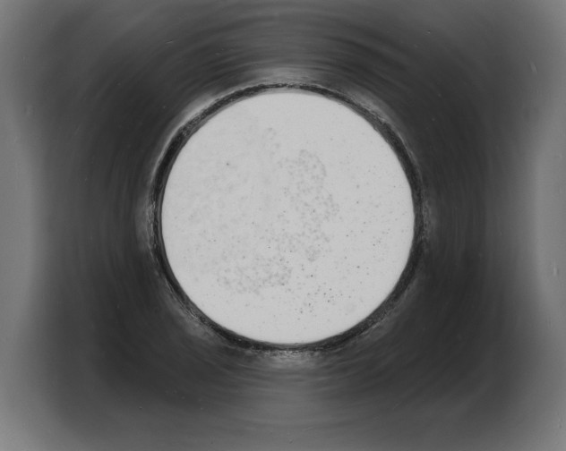 X0000103971029200810311520