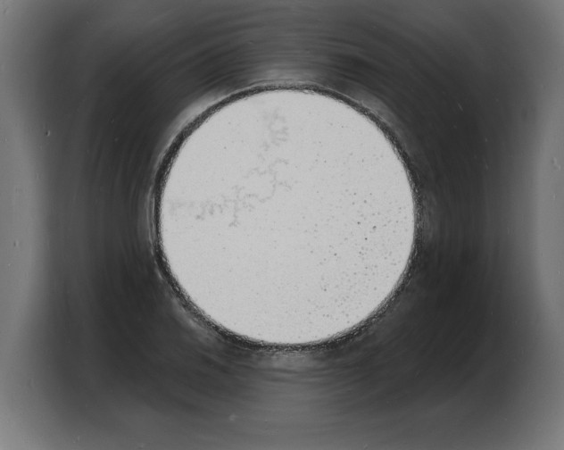 X0000103971030200810311520