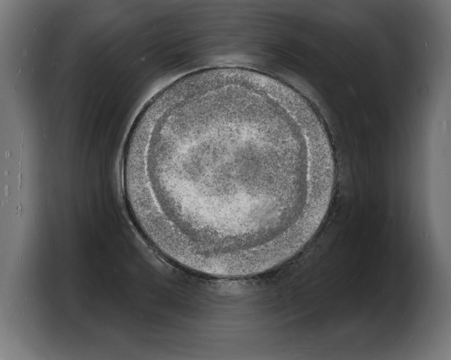 X0000103971032200810311520