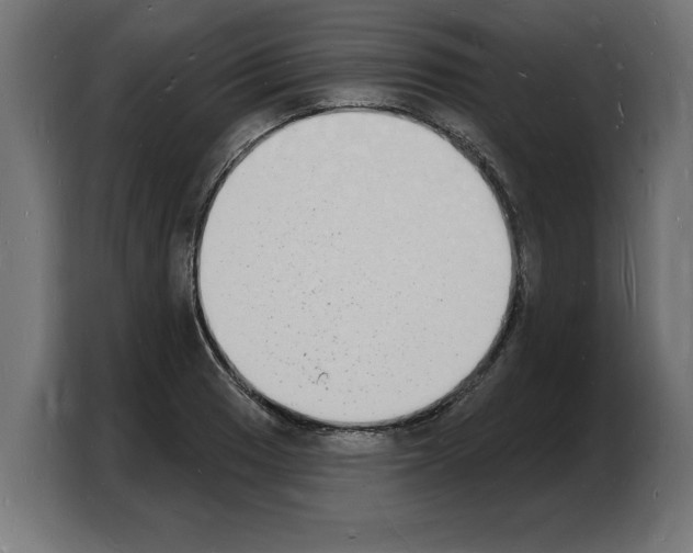 X0000103971033200810311520
