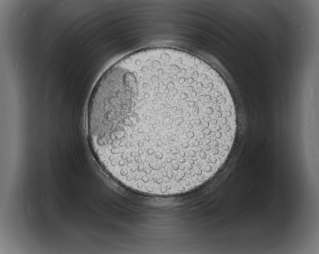 X0000103971036200810311520