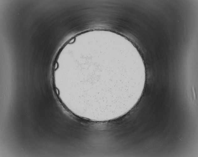 X0000103971038200810311520