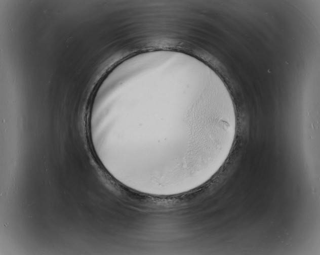 X0000103971039200810311520