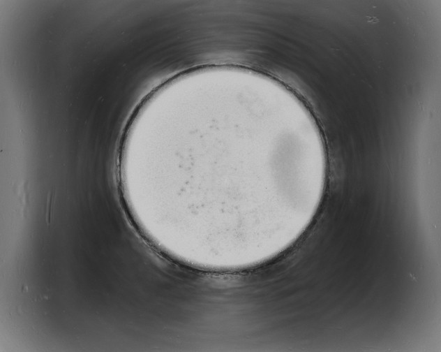 X0000103971040200810311520