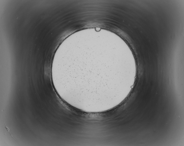 X0000103971041200810311520