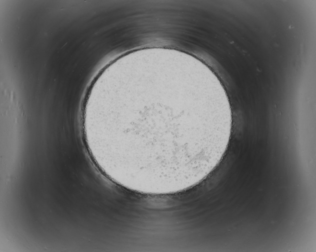 X0000103971046200810311520