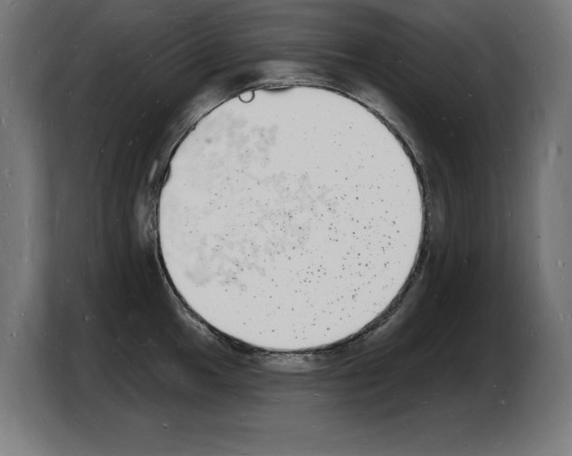 X0000103971049200810311520
