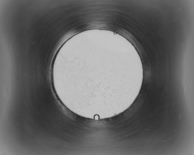 X0000103971050200810311520