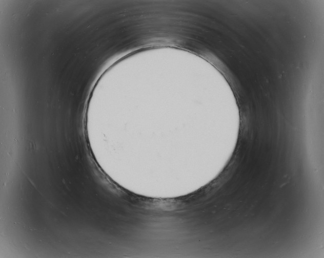 X0000103971052200810311520