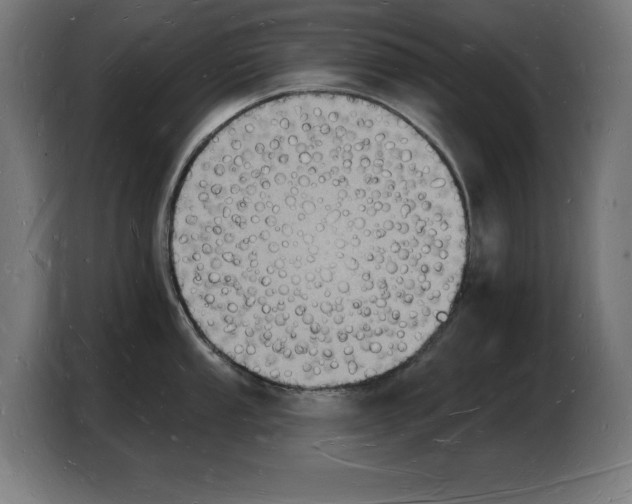 X0000103971053200810311520