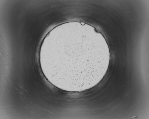 X0000103971054200810311521