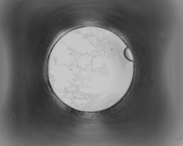 X0000103971056200810311521