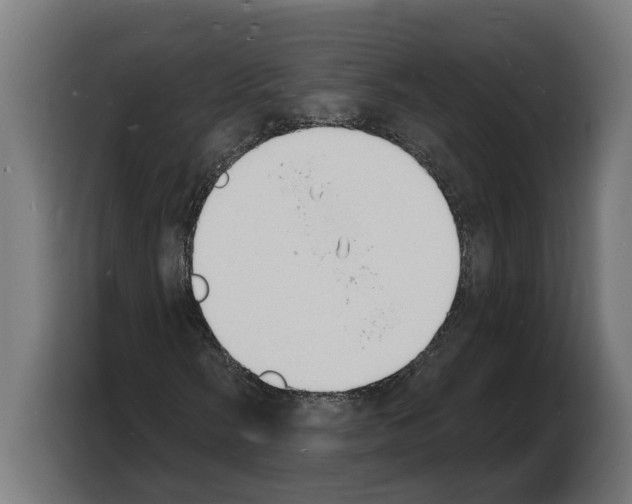 X0000103971058200810311520