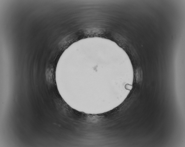 X0000103971059200810311520