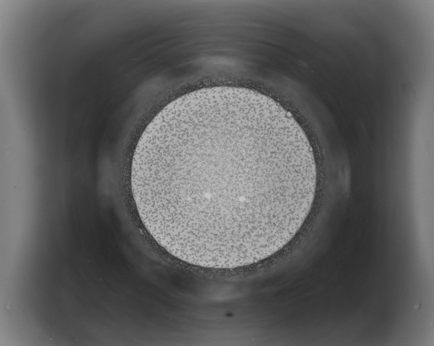 X0000103971060200810311520