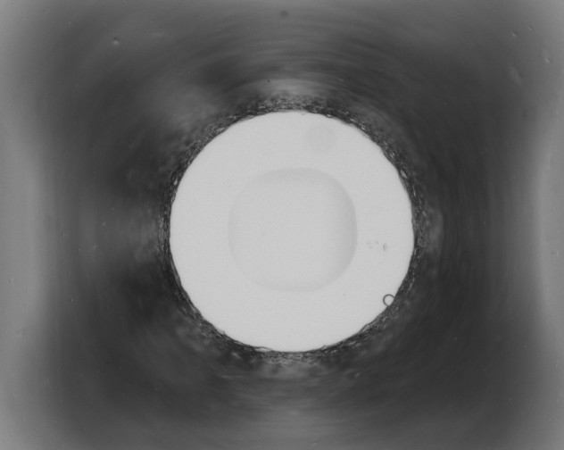 X0000103971061200810311520