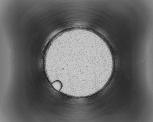 X0000103971066200810311520