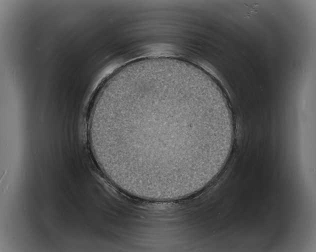 X0000103971067200810311520