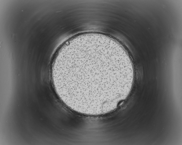 X0000103971069200810311520