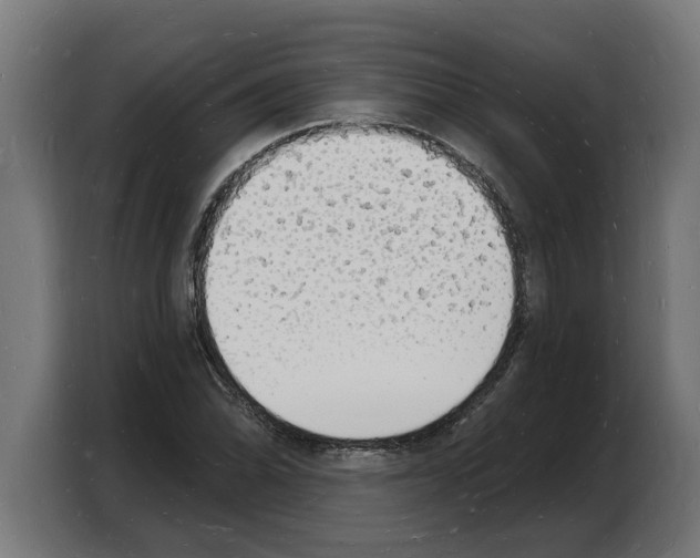 X0000103971070200810311520