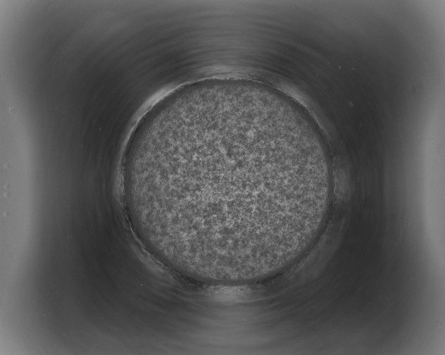 X0000103971074200810311520