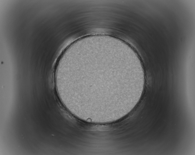 X0000103971075200810311520