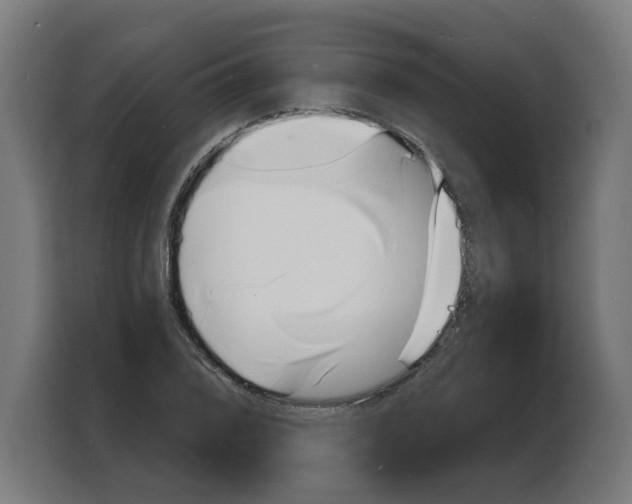 X0000103971076200810311520