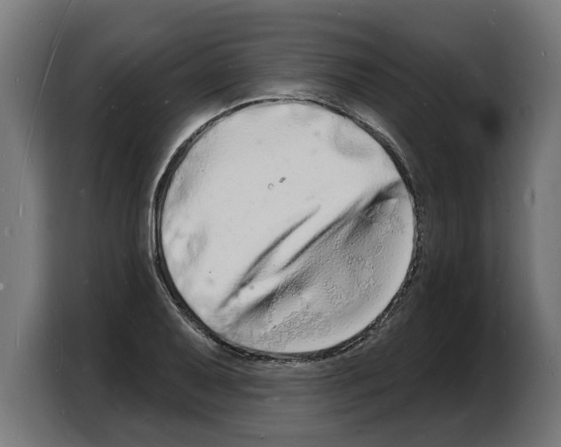 X0000103971079200810311520