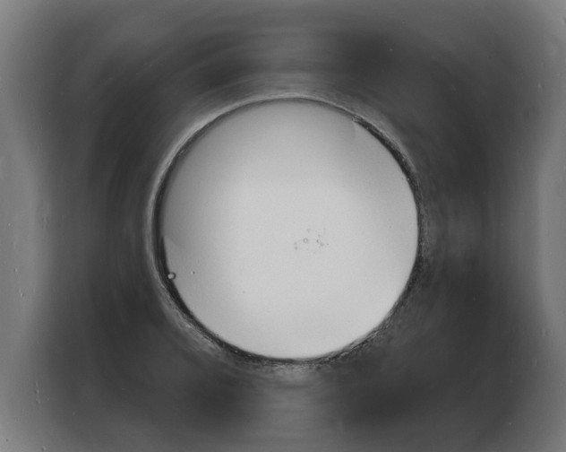 X0000103971080200810311520