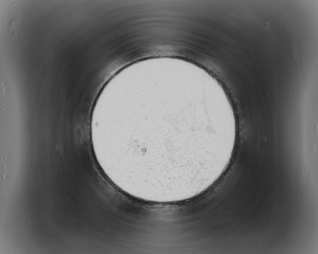 X0000103971081200810311520