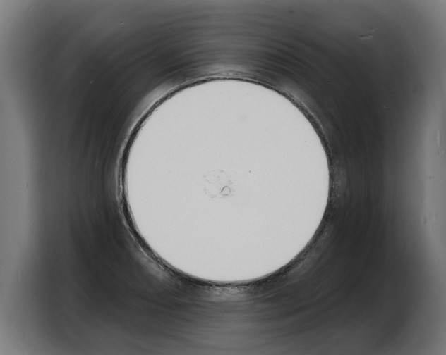 X0000103971082200810311520