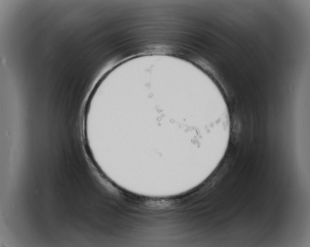 X0000103971083200810311520