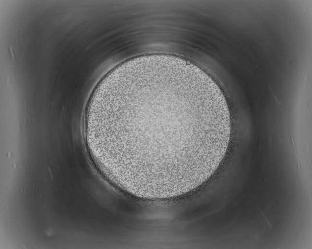 X0000103971084200810311520