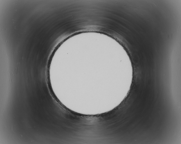 X0000103971085200810311520