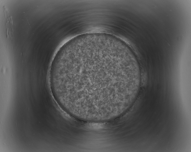 X0000103971086200810311520